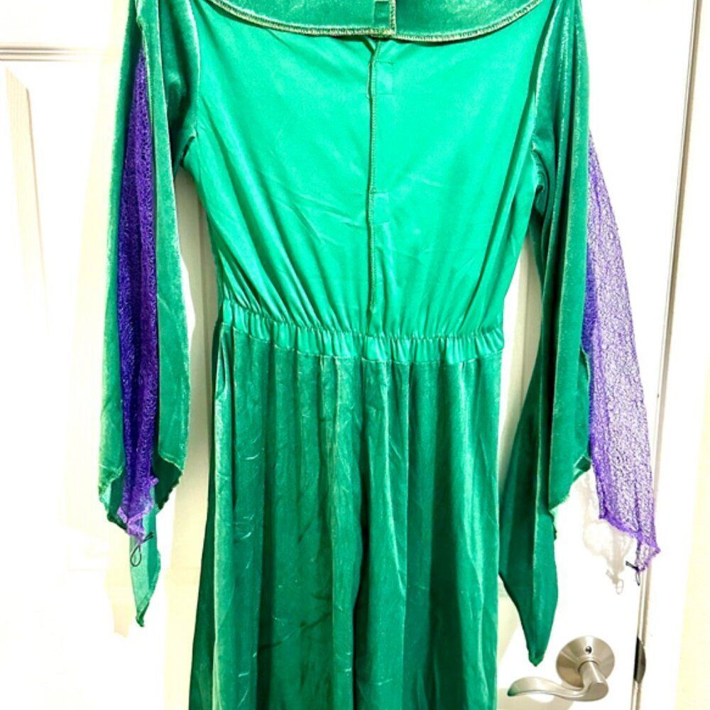 Hocus Pocus Winifred Sanderson Adult Costume Medium - Picture 2 of 2
